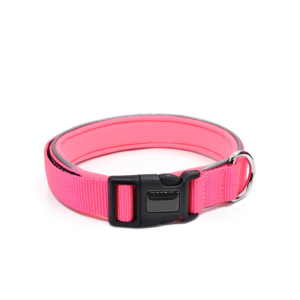 Padded Dog Collar And Leash