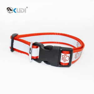 Patterned Nylon Dog Collar