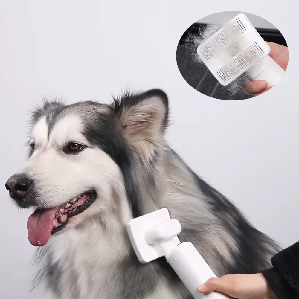 Cordless Pet Vacuum Cleaner - Image 3